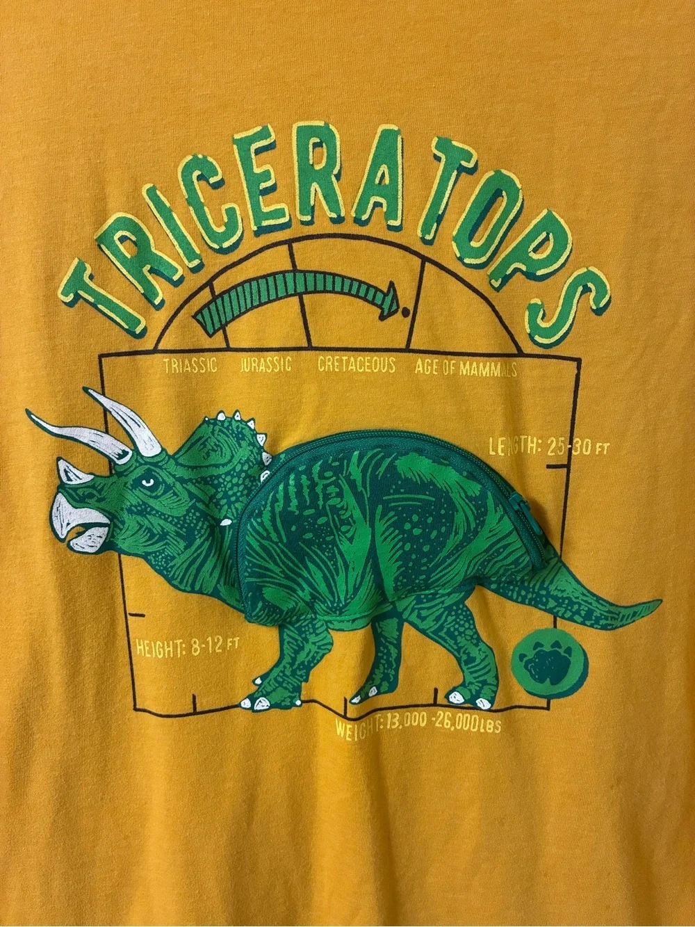 Gymboree Yellow Long-Sleeve Triceratops Graphic Tee with zipper pocket dinosaur